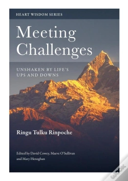 Capa do artigo Meeting Challenges