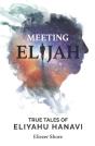 Meeting Elijah - Preview