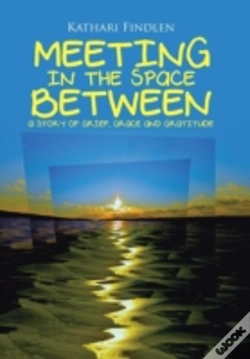 Capa do artigo Meeting In The Space Between