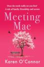 Meeting Mae - Preview