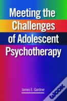 Meeting The Challenges Of Adolescent Psychotherapy
