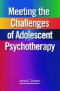 Meeting The Challenges Of Adolescent Psychotherapy - Preview