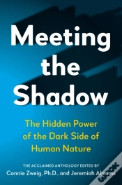 Capa do artigo Meeting The Shadow