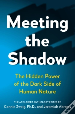 Capa do artigo Meeting The Shadow