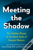 Meeting The Shadow