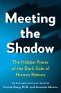 Meeting The Shadow - Preview