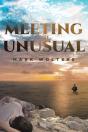 Meeting The Unusual - Preview