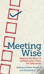 Capa do artigo Meeting Wise