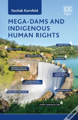 Capa do artigo Mega-Dams And Indigenous Human Rights