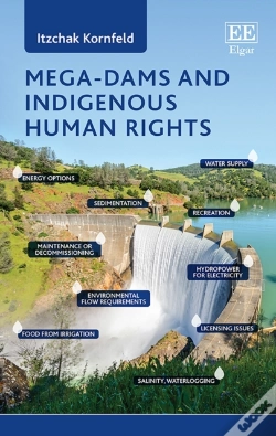 Capa do artigo Mega-Dams And Indigenous Human Rights