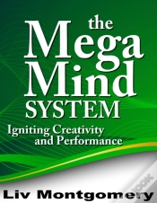 Capa do artigo Mega Mind System