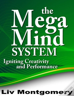 Capa do artigo Mega Mind System