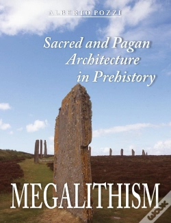 Capa do artigo Megalithism