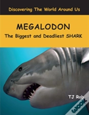 Capa do artigo Megalodon