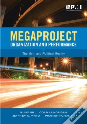 Megaproject Organization And Performance