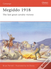 Capa do artigo Megiddo 1918