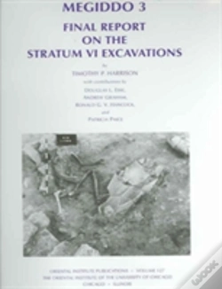 Capa do artigo Megiddo 3