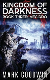 Capa do artigo Megiddo
