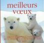 Meilleurs Voeux - Preview