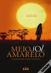 Capa do artigo Meio Sol Amarelo