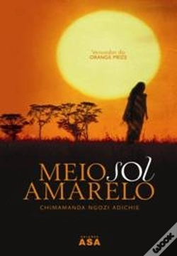 Capa do artigo Meio Sol Amarelo