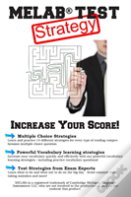 Melab Test Strategy
