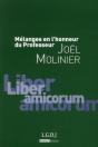 Mélanges En L'Honneur Du Professeur Joël Molinier - Preview