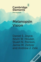 Melanopsin Vision