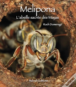 Capa do artigo Melipona, L'Abeille Sacrée Des Mayas