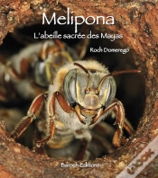 Capa do artigo Melipona, L