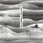 Mellow Waves - CD - Preview