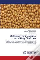 Meloidogyne Incognita Attacking Chickpea