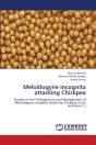 Meloidogyne Incognita Attacking Chickpea - Preview