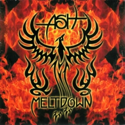 Capa do artigo Meltdown - CD