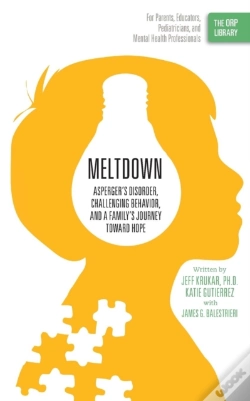 Capa do artigo Meltdown
