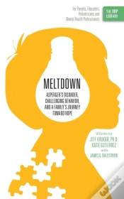 Capa do artigo Meltdown