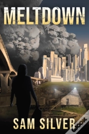 Capa do artigo Meltdown