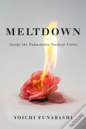 Capa do artigo Meltdown