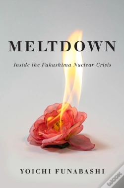 Capa do artigo Meltdown