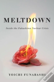 Capa do artigo Meltdown