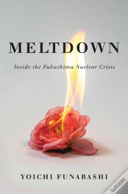 Capa do artigo Meltdown