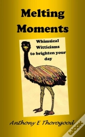 Capa do artigo Melting Moments