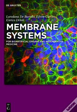 Capa do artigo Membrane Systems