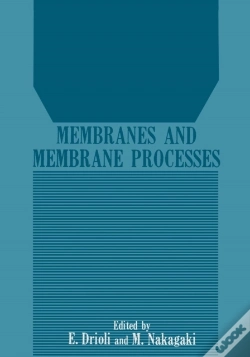 Capa do artigo Membranes And Membrane Processes