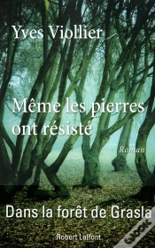 Capa do artigo Même Les Pierres Ont Résisté