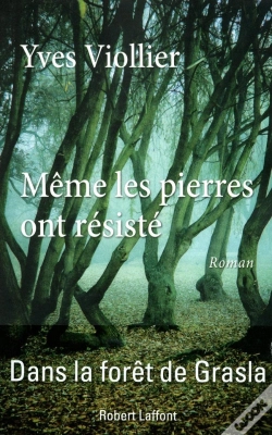 Capa do artigo Même Les Pierres Ont Résisté
