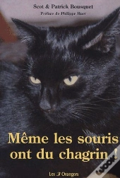 Meme Les Souris Ont Du Chagrin