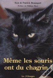 Capa do artigo Meme Les Souris Ont Du Chagrin