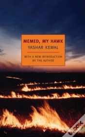 Capa do artigo Memed, My Hawk