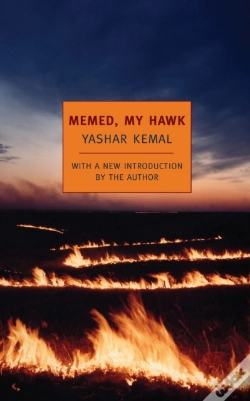 Capa do artigo Memed, My Hawk